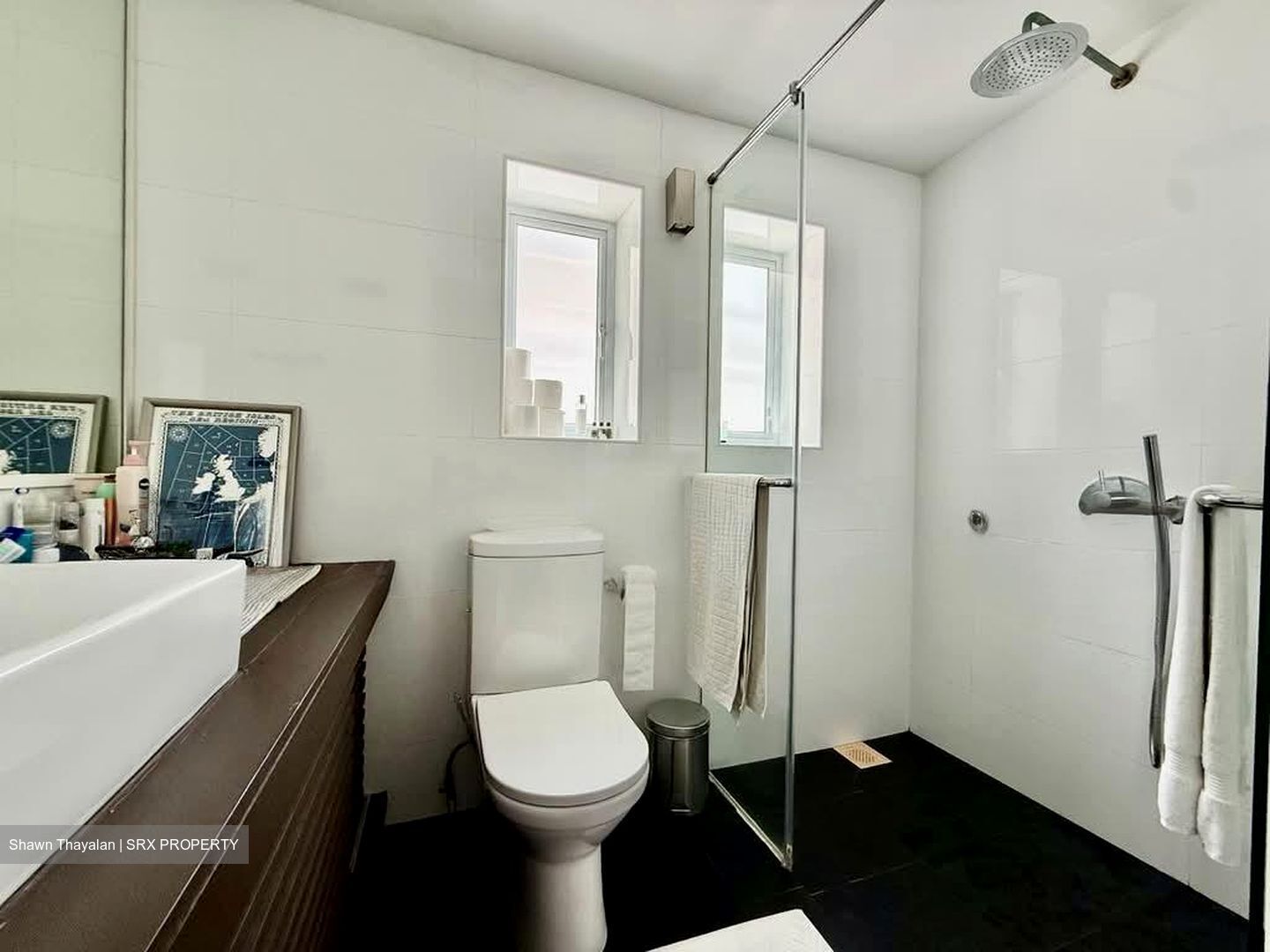 Tiong Bahru Estate (D3), Apartment #556125211